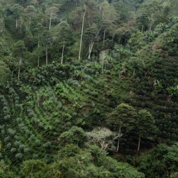 /052 Colombia — Julián Calderón - Image 2