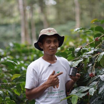 LAURINA3 Indonesia — Supriyanto - Image 2