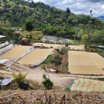 /022 Guatemala — Las Brisas | La Cumbre - Image 5