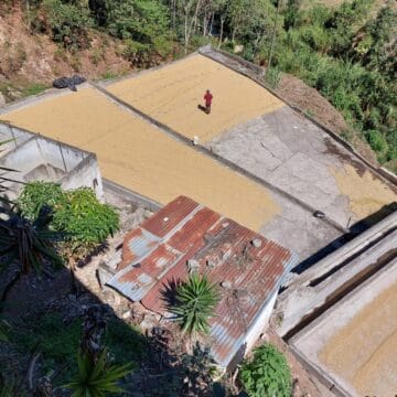 /022 Guatemala — Las Brisas | La Cumbre - Image 3