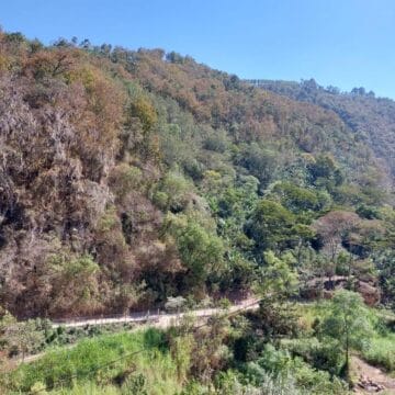 /022 Guatemala — Las Brisas | La Cumbre - Image 4