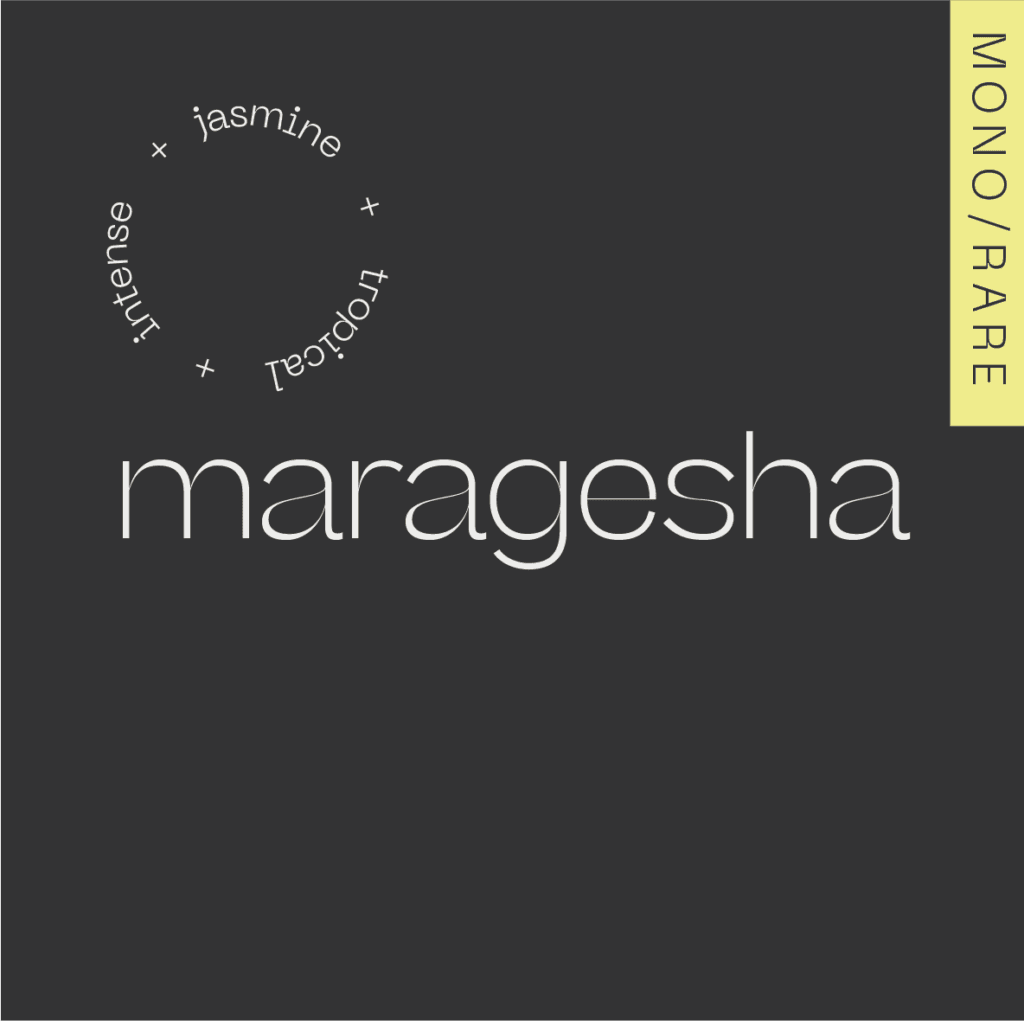 MARAGESHA Colombia &mdash; Wilder Lazo