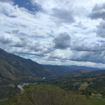 TYPICA MEJORADO Colombia — La Quebraditas - Image 2
