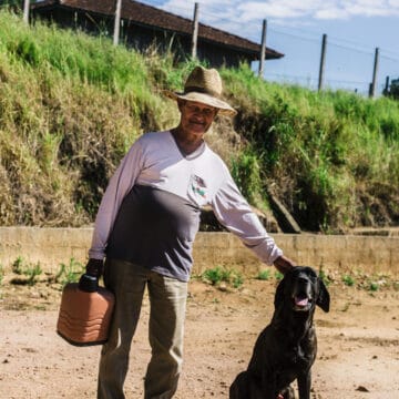 /001³ Brazil — São Domingos - Image 4