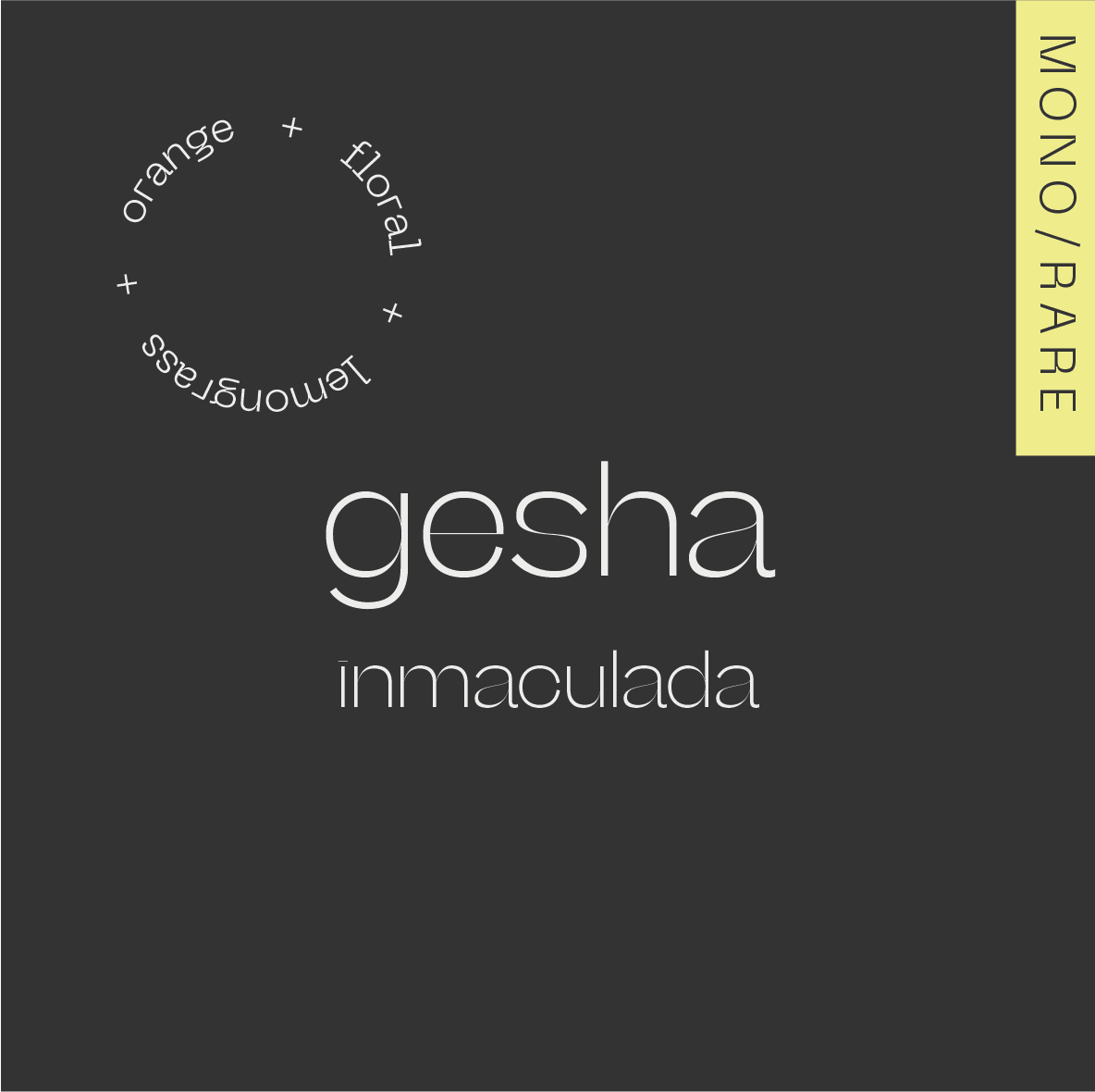 GESHA Colombia — Inmaculada