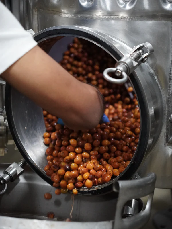 GESHA Panama — Castelara Lot 125 (roasted 17/10) - Image 2