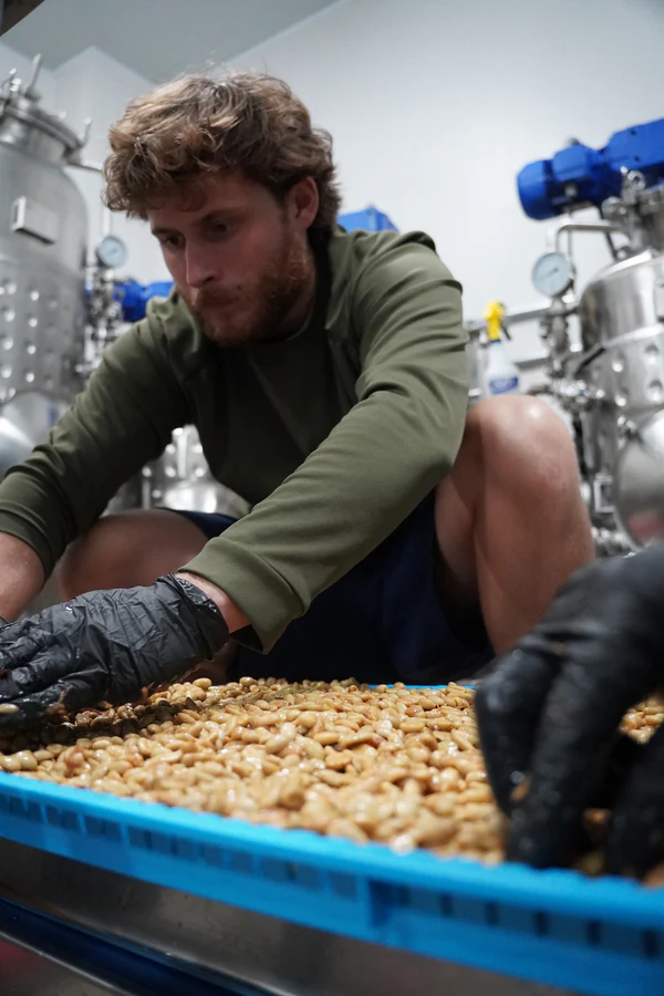 GESHA Panama — Castelara Lot 125 (roasted 17/10) - Image 3