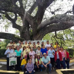 Alternative view of DECAF — El Trebol