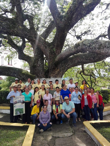 DECAF — El Trebol - Image 2