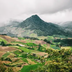 Alternative view of CATUAÍ Panama — Abu