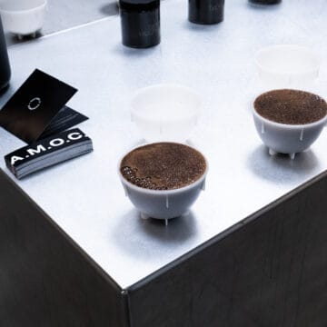 ARCHIVE — blend - Image 2