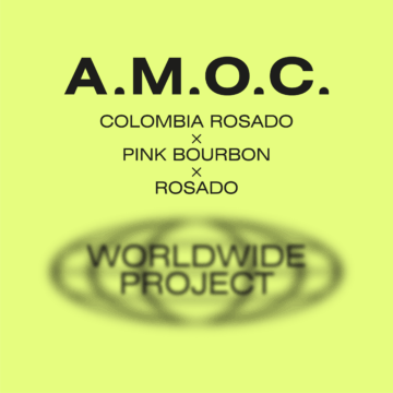 A.M.O.C. worldwide project - rosado × rosado