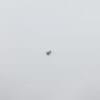 LM shower screen screw