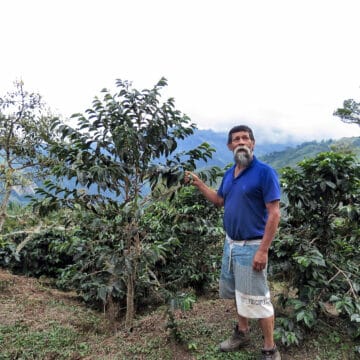 /057 Colombia — Arsenio Sandoval — Chiroso - Image 5