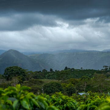 /058 Colombia — Don Héctor Díaz - Image 3