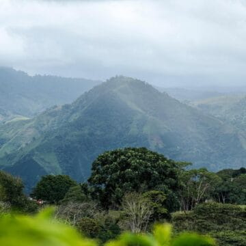 /058 Colombia — Don Héctor Díaz - Image 8