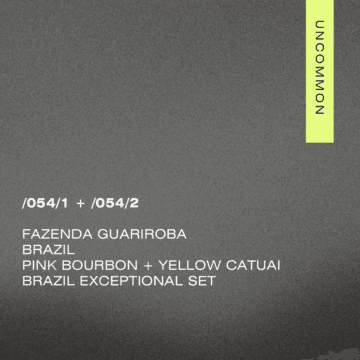 /054 Brazil Exceptional set — Fazenda Guariroba