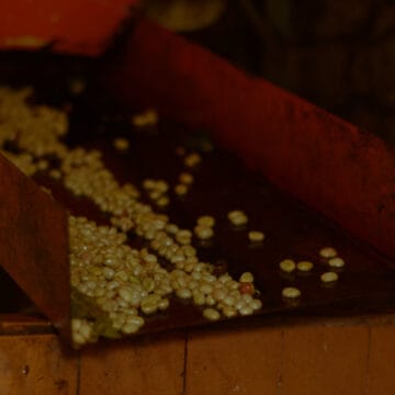 /060 Colombia — Yoiner Mosquera - Image 3