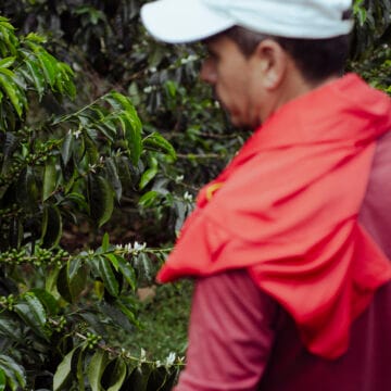 /060 Colombia — Yoiner Mosquera - Image 2
