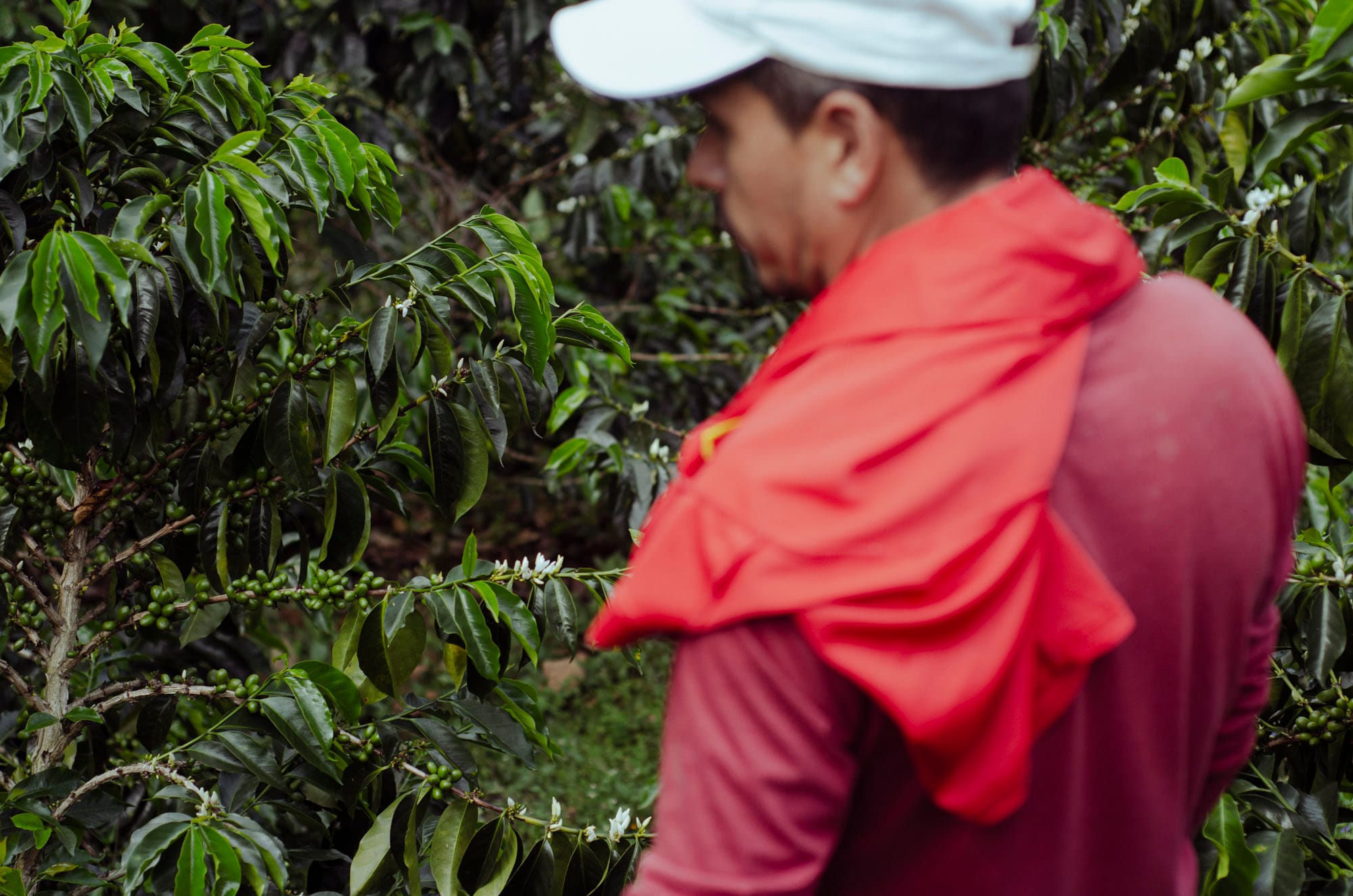 /060 Colombia — Yoiner Mosquera - Image 2