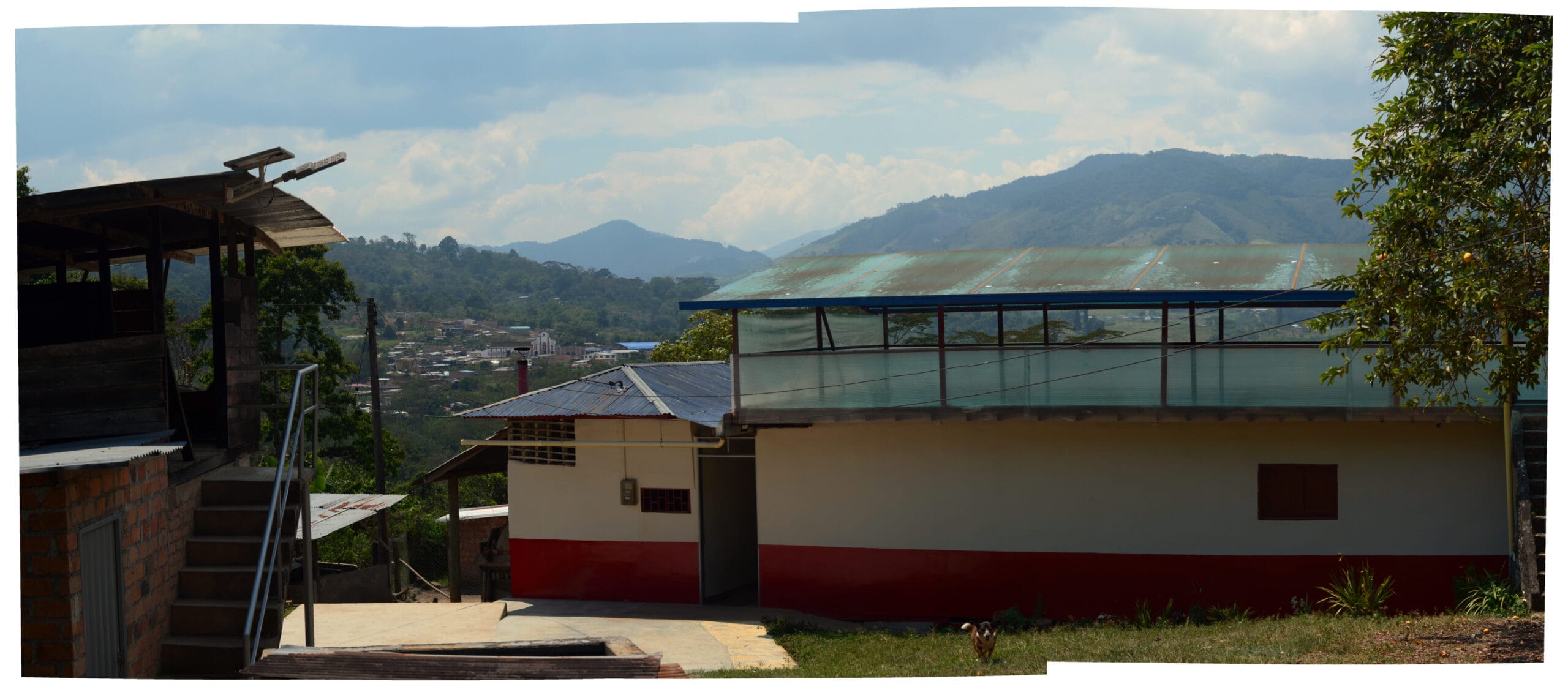 /060 Colombia — Yoiner Mosquera - Image 4
