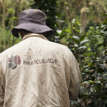 EUGENIOIDES Colombia — Finca La Inmaculada - Image 4