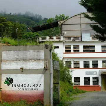 EUGENIOIDES Colombia — Finca La Inmaculada - Image 3